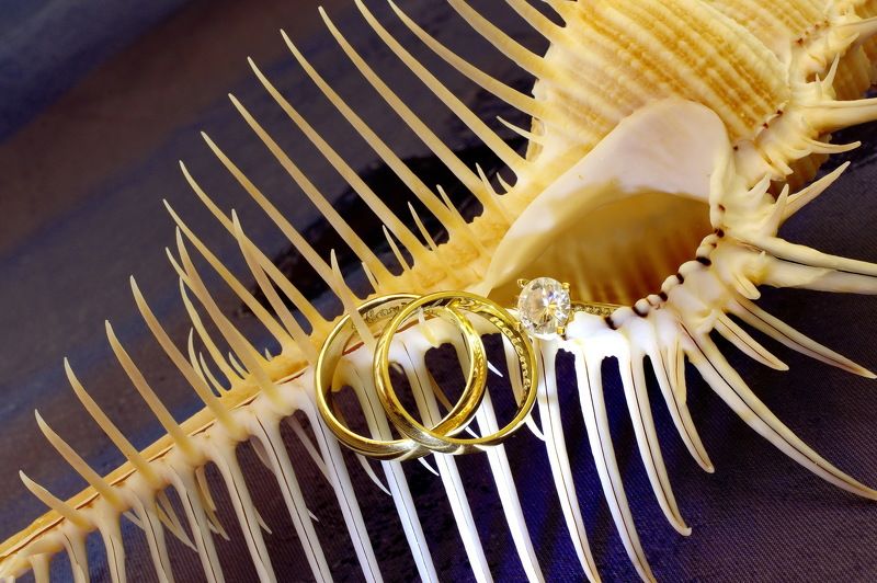 Wedding ringsphoto preview