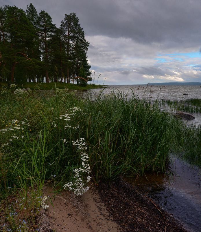 Lake Onega Онежское озероphoto preview