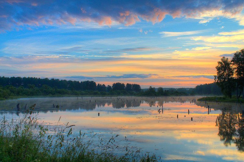 Вода, Лес, Лето, Небо, Облака, Отражение, Пейзаж, Природа, Рассвет, Трава, Утро Отражениеphoto preview