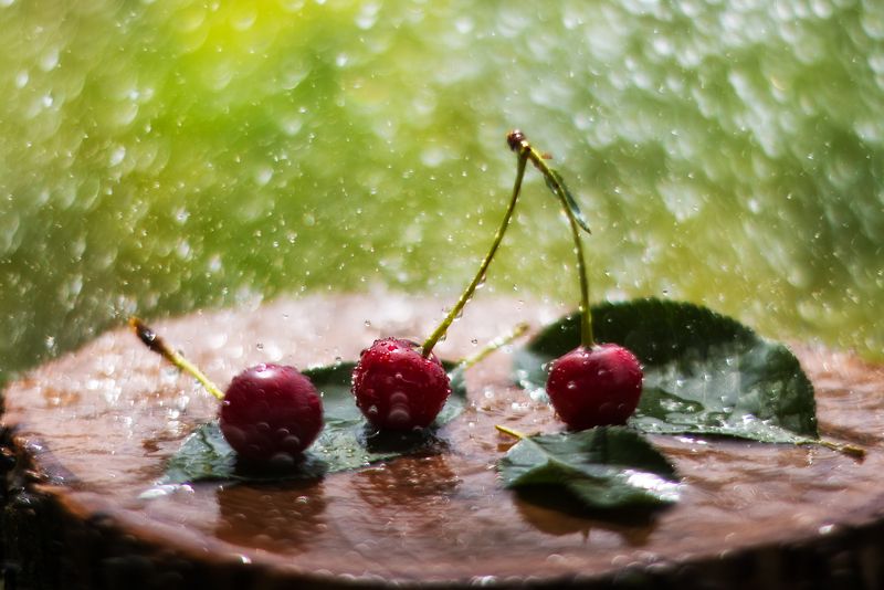 солнечный дождьphoto preview