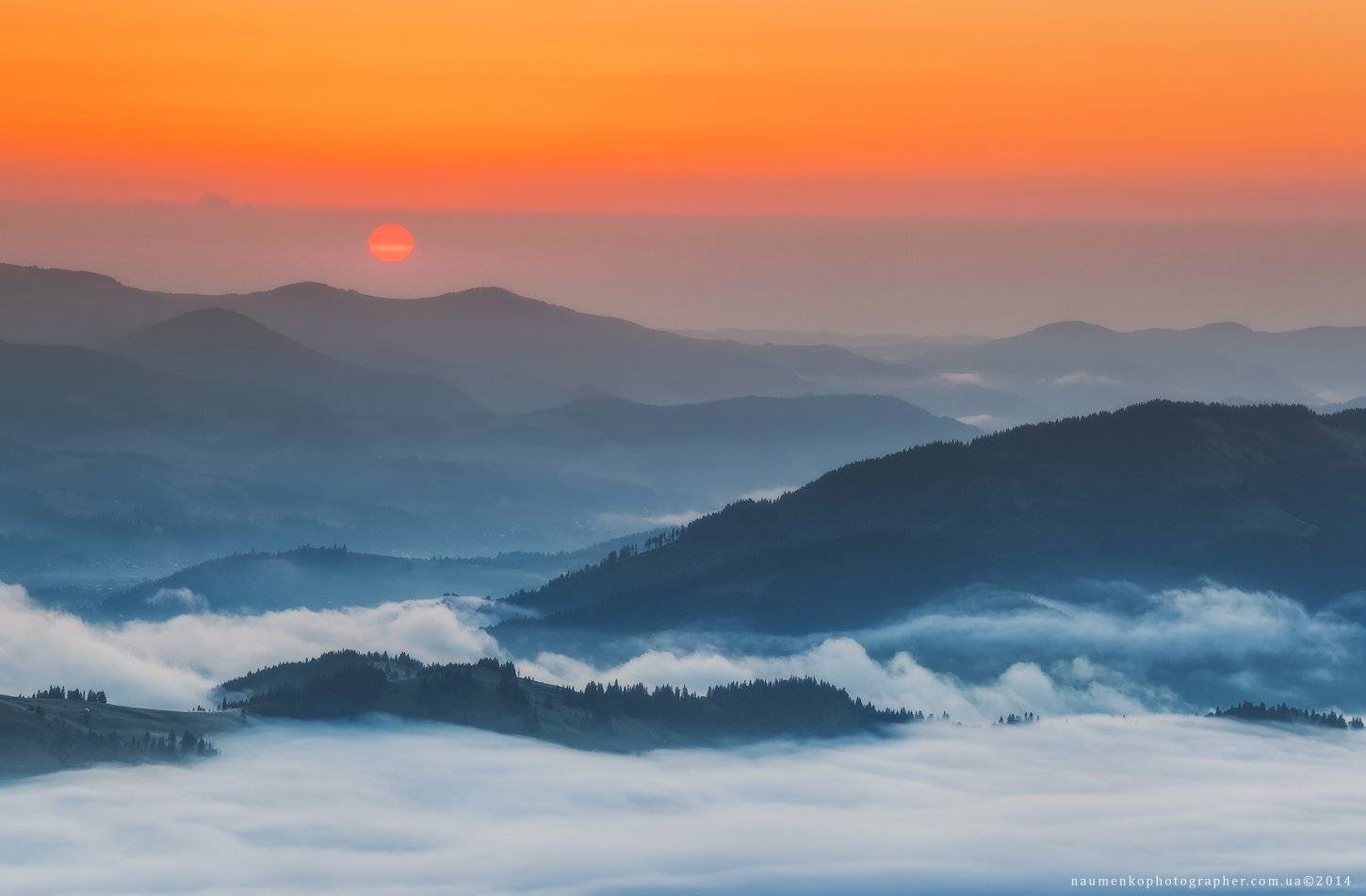украина, карпаты, дземброня, ушастый камень, вухатый камень, лошадь, лето, туман, лес, пейзаж, небо, утро, горы, природа, рассвет, путешествия, туризм, солнце, сцена, фон, страна, красота, туманный, цвет, земля, свет, гора, дерево, Александр Науменко
