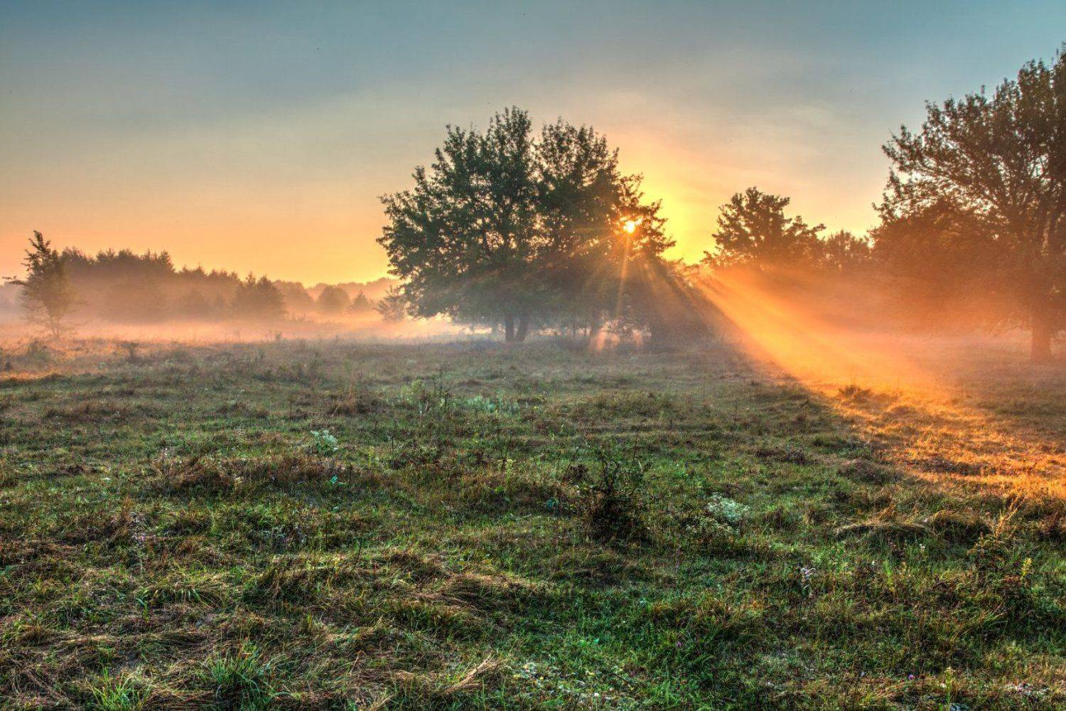 , Владимир Костылев