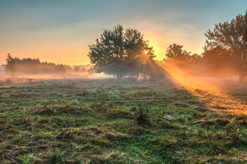 Прожекторphoto preview