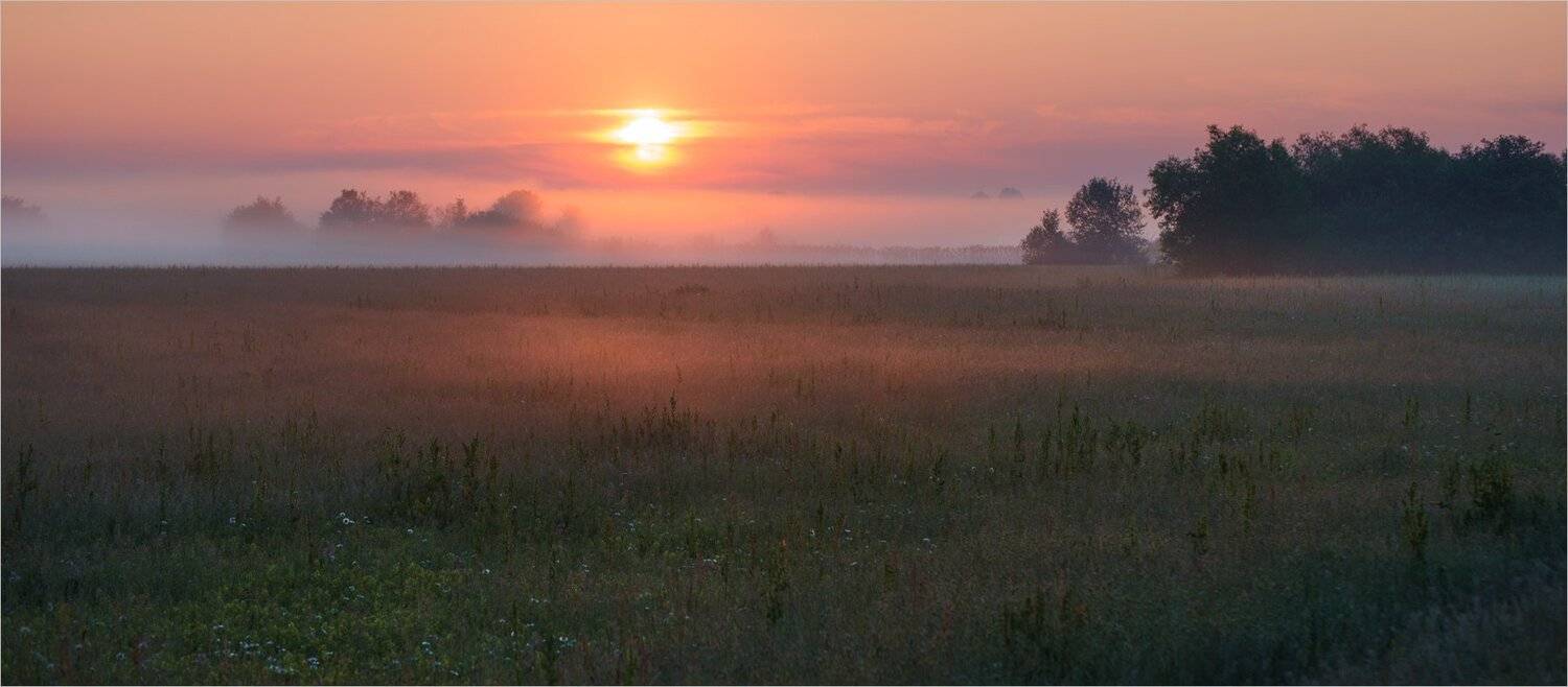 , Николай Шахманцир