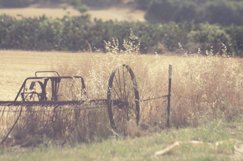 линии, пятна, свет, цвет, пейзаж, настроение Ruralphoto preview