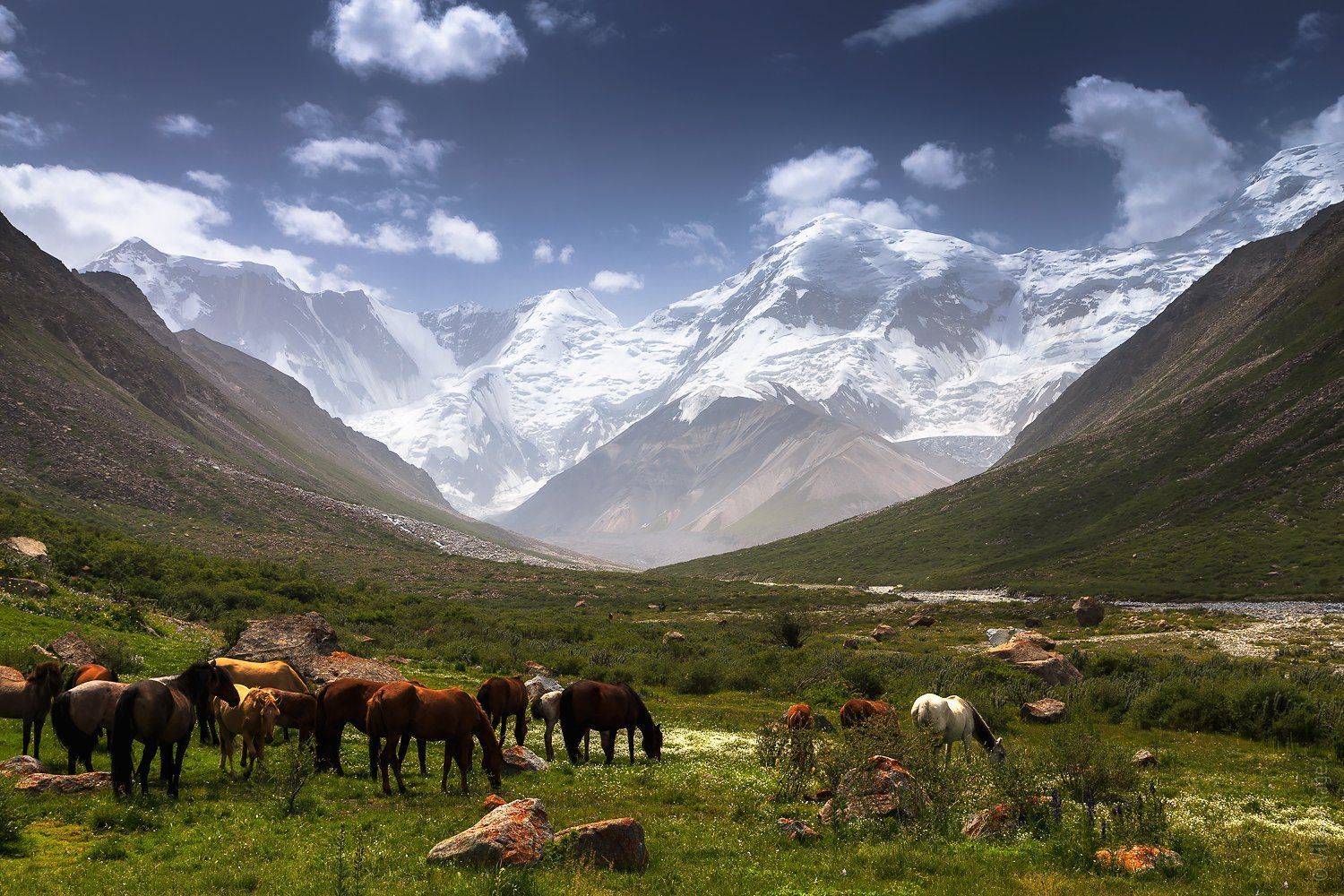 казахстан, Vitaliy Rage