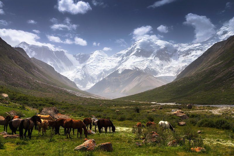 казахстан Центральный Тянь-Шань, Высотаphoto preview