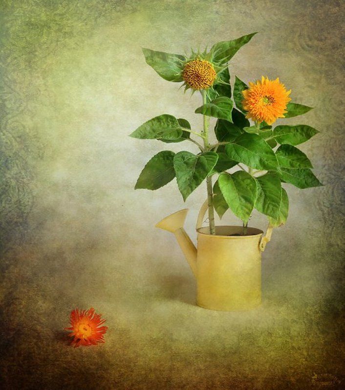 Letnie bukietyphoto preview