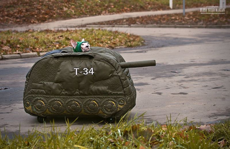 Настоящий танкист))photo preview