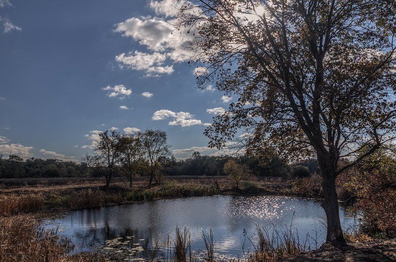 Октябрьское утроphoto preview