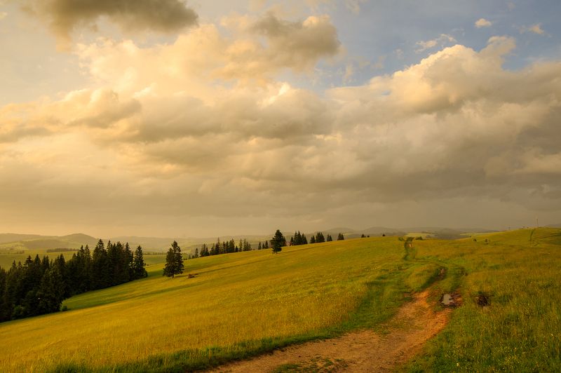 Лето в Карпатахphoto preview