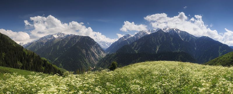 казахстан, горы, лето Малые горы Талгараphoto preview