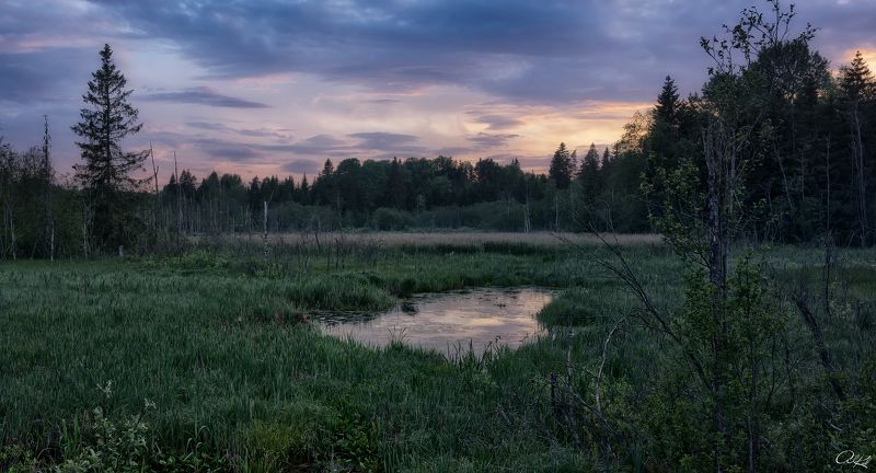 Тверские болотаphoto preview