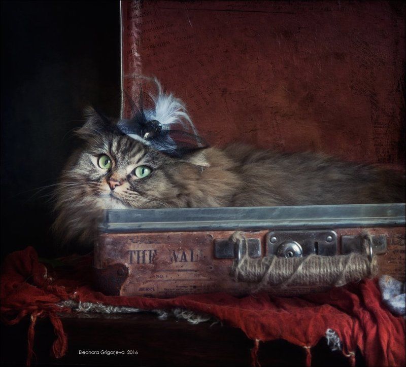 Фантазии Марусиphoto preview