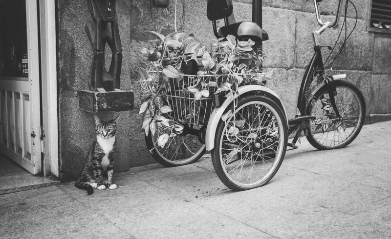 Дело было вечером...photo preview