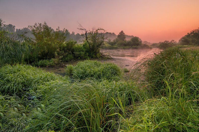 Лето, Утро Одно тихое буднее утроphoto preview