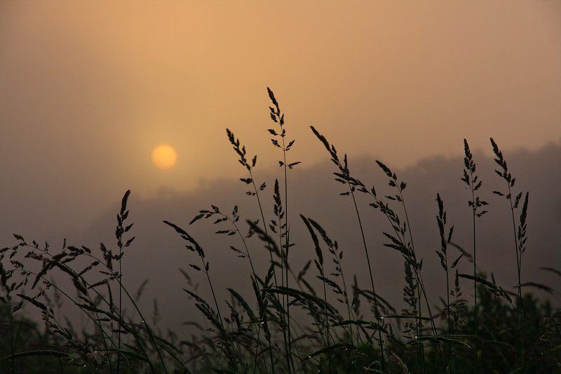 утро, рассвет, солнце, туман, река, Волга Утреннее..photo preview