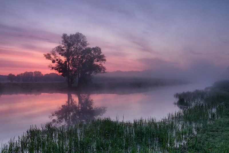 . . . фото превью