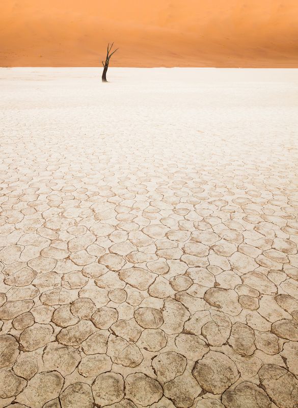 про ботанический сад...photo preview