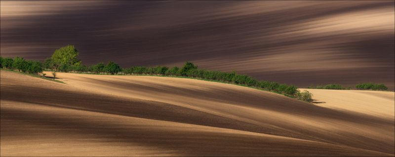 чехия, южная моравия, весна, линии, формы, свет, south moravian, morava, czech Про формы и линии ..photo preview