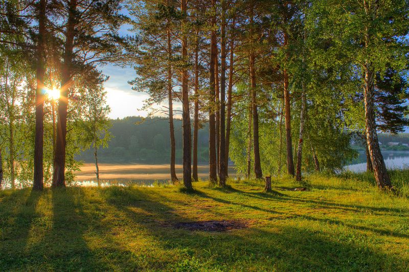 Вода, Деревья, Лес, Небо, Пейзаж, Природа, Рассвет, Река, Свет, Солнце, Тени, Трава, Утро Утренние тениphoto preview