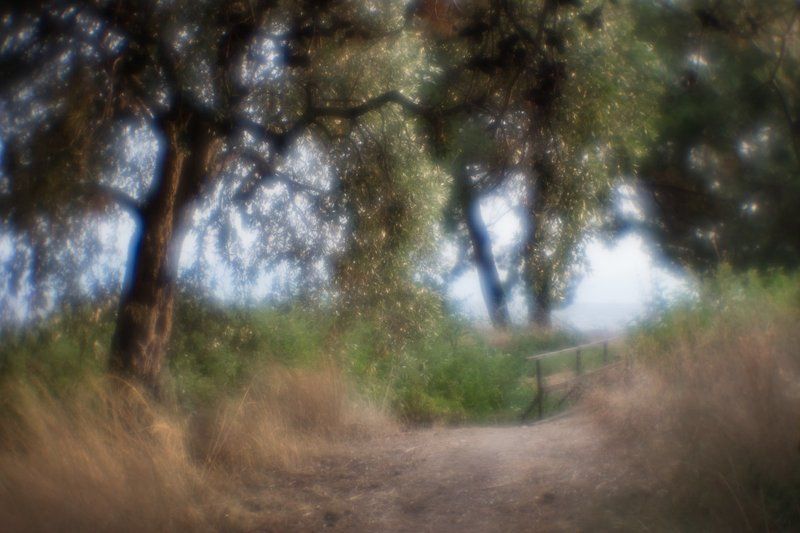 утро , монокль ***photo preview