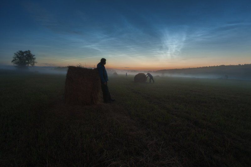 серебристые облака, белые ночи, июнь, спасс косицы, деревня Наблюдательphoto preview