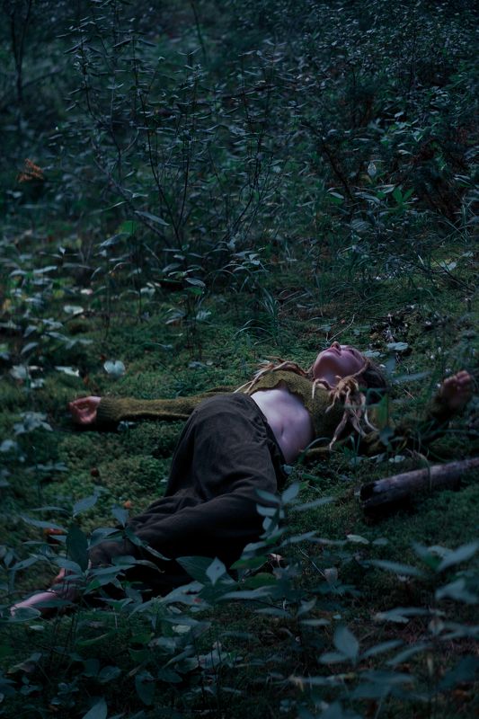 canada, alberta, banff, forest, trees, green, elf Дикаркаphoto preview