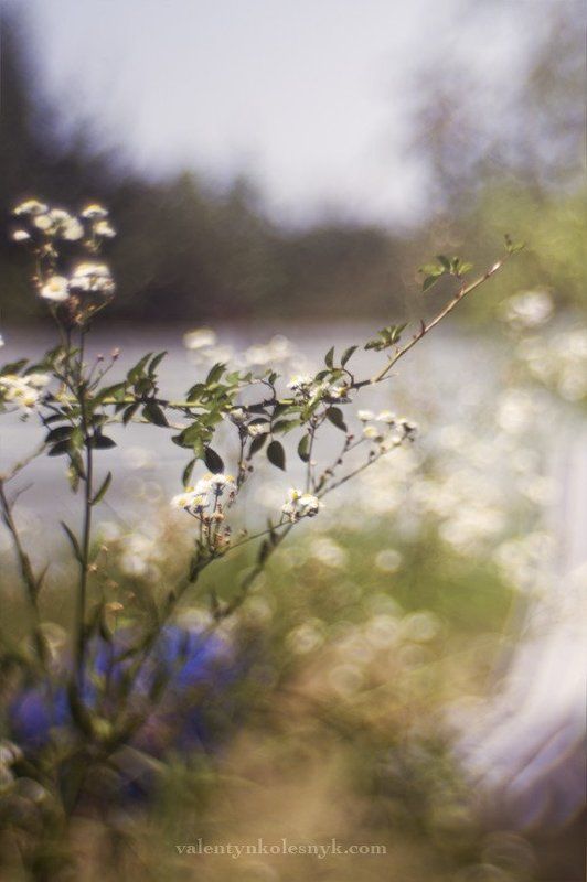 Природа, настроение, линии, пятна Soulfulnessphoto preview