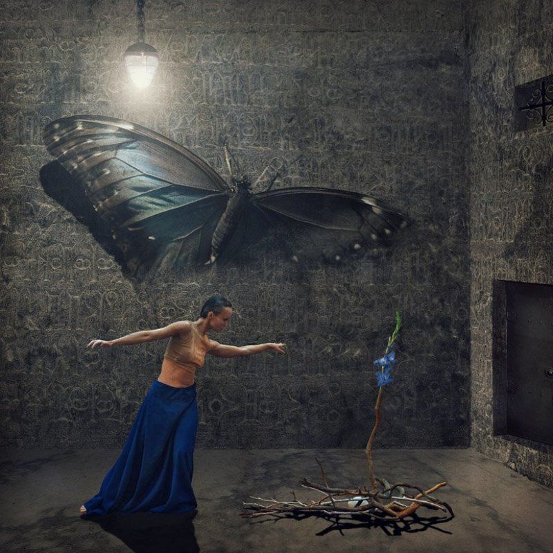 Сотворение шпажникаphoto preview