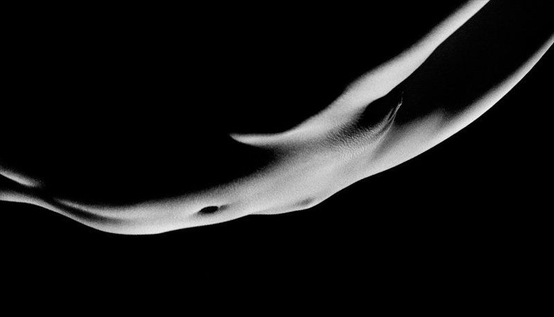 лунная сонатаphoto preview