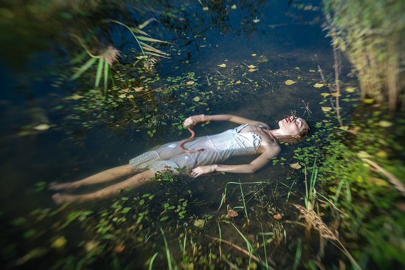 Where The Wild Roses Growphoto preview