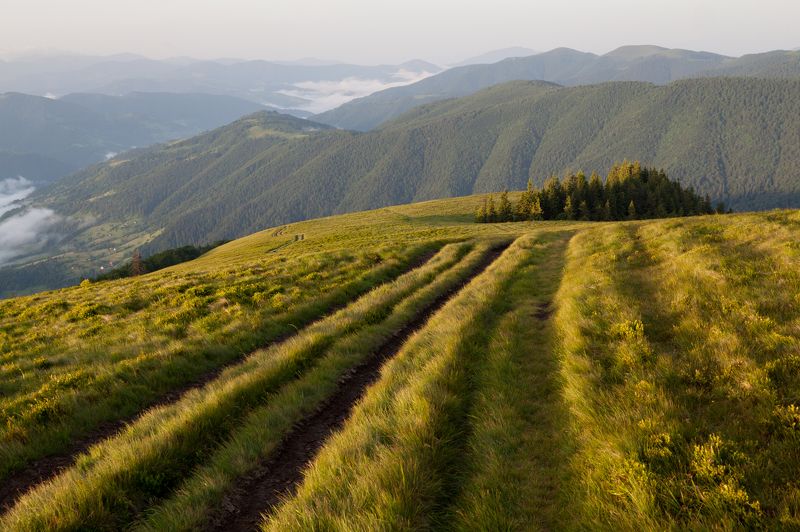 Утроphoto preview