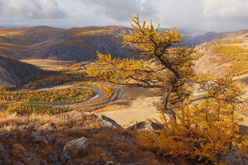 УТРО НАД ЧУЙСКИМ ТРАКТОМ.photo preview