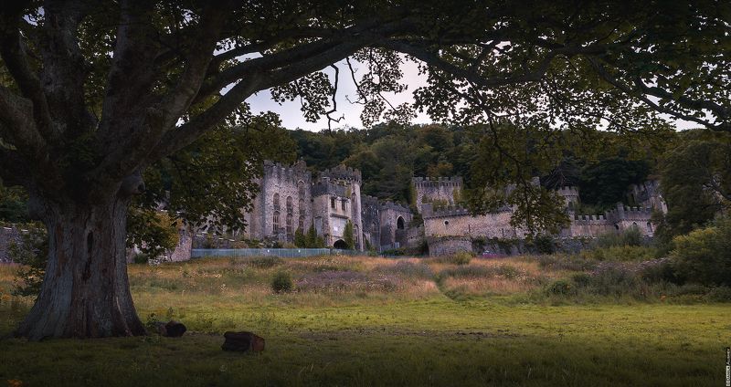 Заброшенный замок Грайч (Gwrych). Уэльс.photo preview
