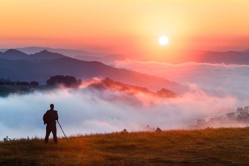 The Landscaper...photo preview