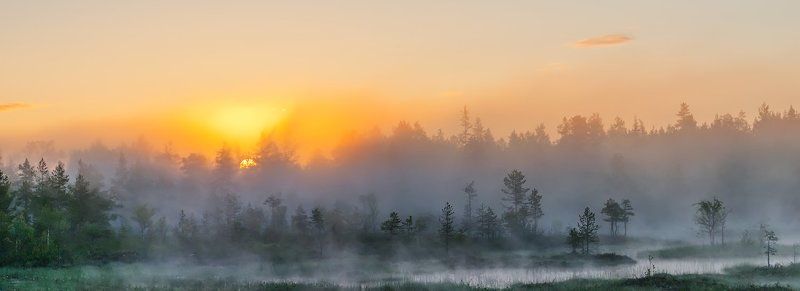 Болото, Восход, Карелия, Лето, Панорама, Пейзаж, Природа, Рассвет, Туман, Утро photo preview