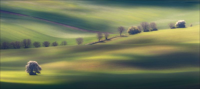 чехия, южная моравия, формы, линии, свет, тени, czech, south moravian, A Q U A R E L L Ephoto preview