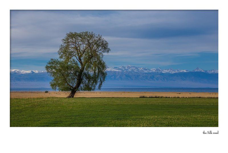 вкусная... желтая линияphoto preview