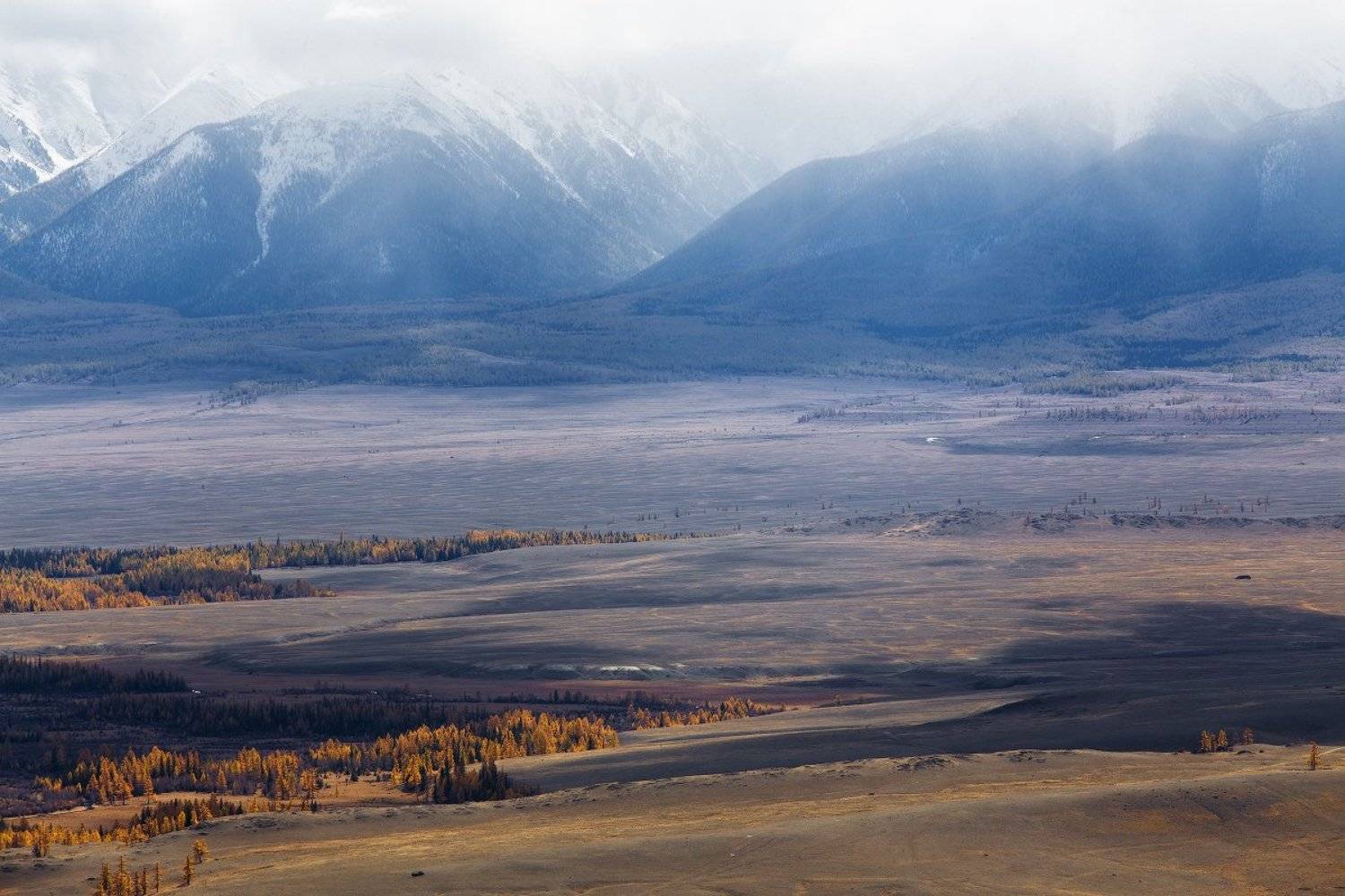 , Кочетков Евгений