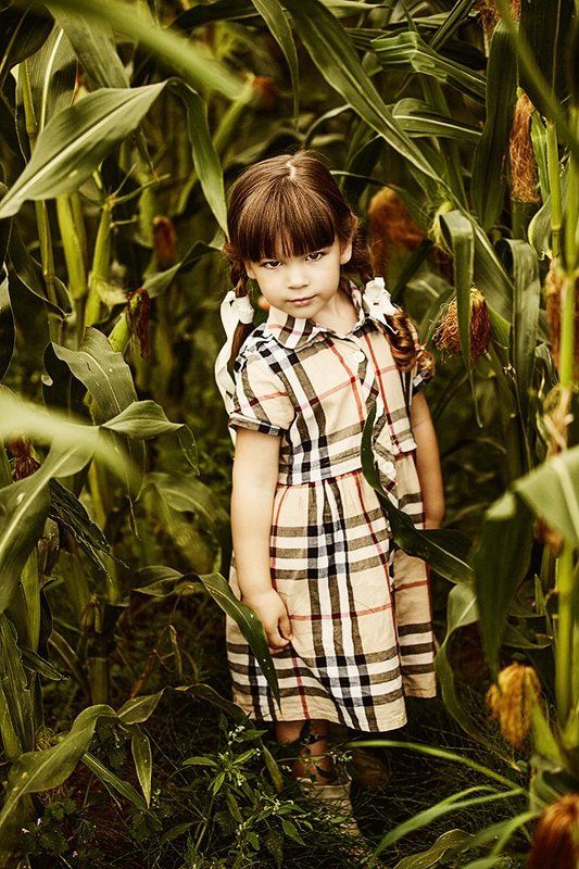 портрет,ребенок,кукуруза,лето ***photo preview