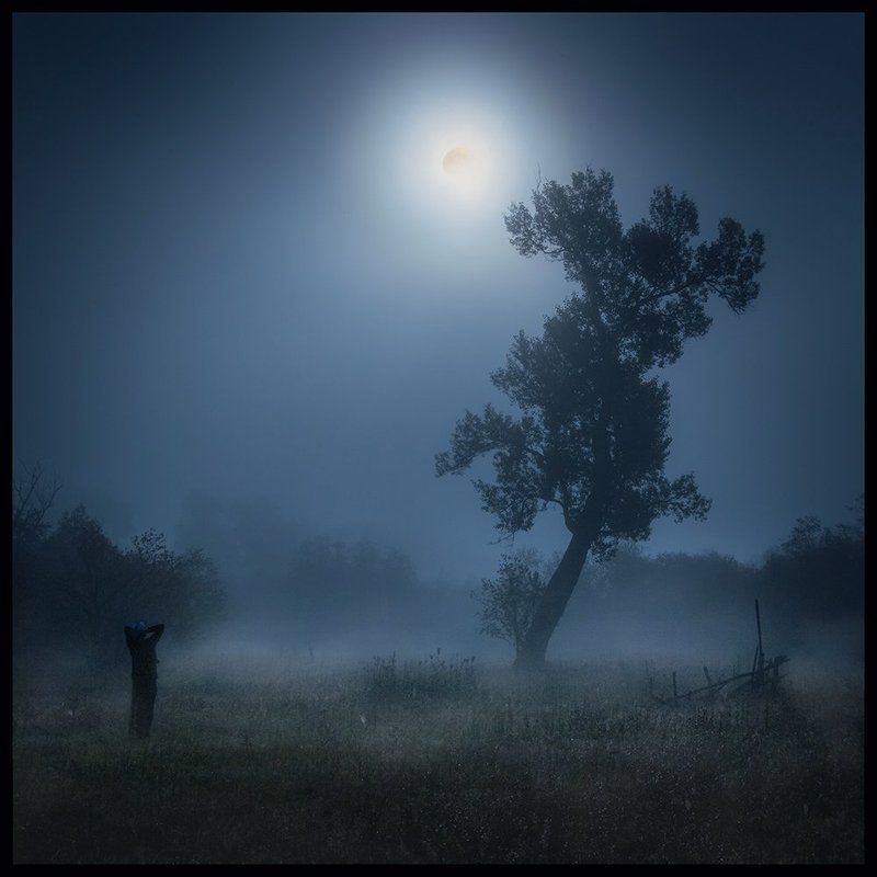 Дерево, Луна, Туман Лунофобияphoto preview