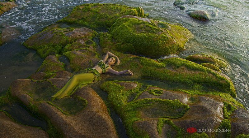 Hoàng Mỹ Anphoto preview