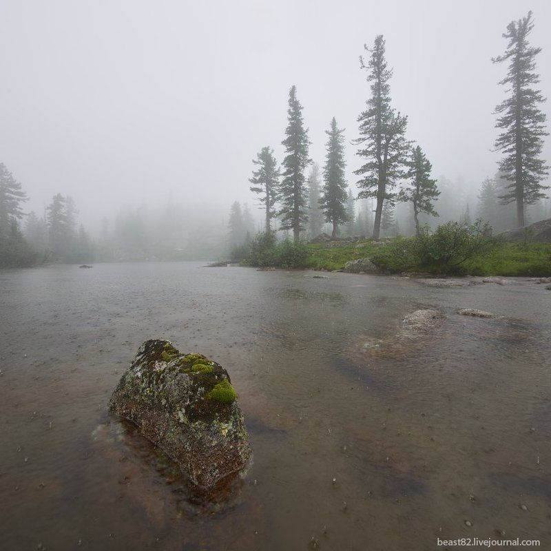 Дождь, Ергаки, Туман Типичные Ергакиphoto preview