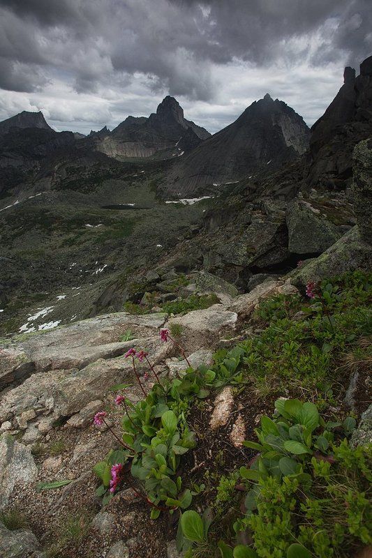 ергаки, саяны, сибирь, россия, перевал, озеро, художников, бадан, горы, пейзаж Суровая красота горphoto preview