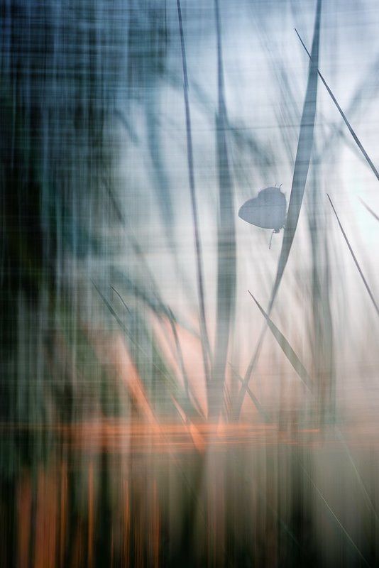 Закат в стиле геометризмphoto preview