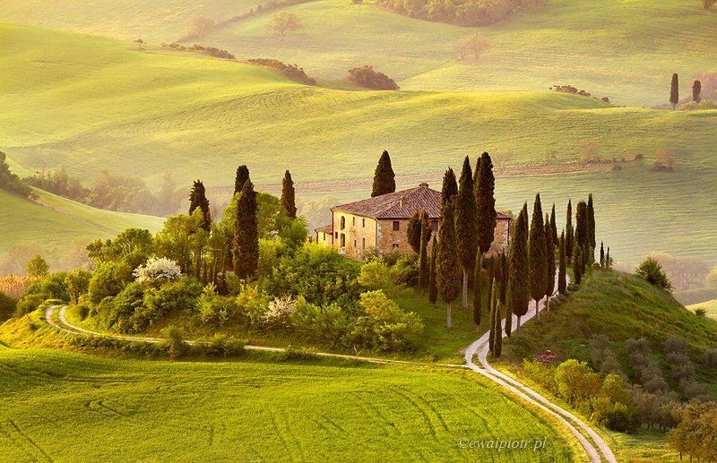Tuscany, Italy, landscape, sunrise, cypress, hills, villa Villa Belvederephoto preview