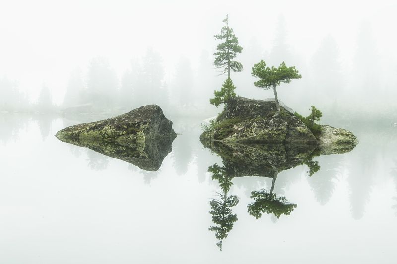 ергаки, пейзаж, отражение, туман, кедр, сибирь, саяны Симметрияphoto preview