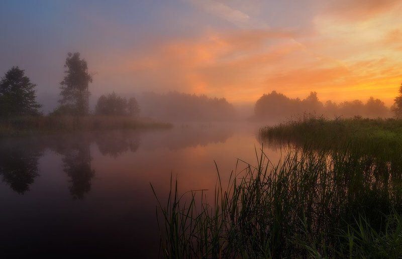 Clouds, Colors, Dawn, Fog, Forest, Lake, Mist, Summer, Sunrise, Trees Sweet summer dreamsphoto preview