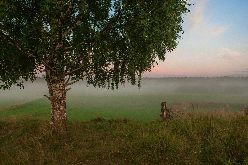 Дети Свободное детствоphoto preview